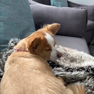 Meet your Posher, Jill